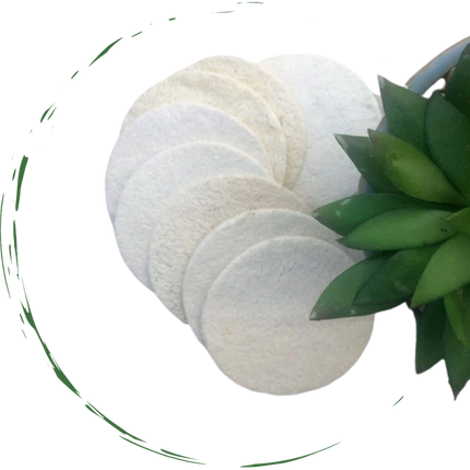 Natural Loofah Pads 5-pcs-1