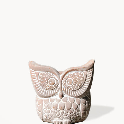 Terracotta Pot - Big Eye Owl-0