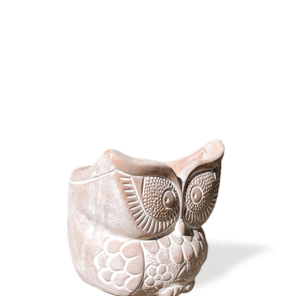 Terracotta Pot - Big Eye Owl-2