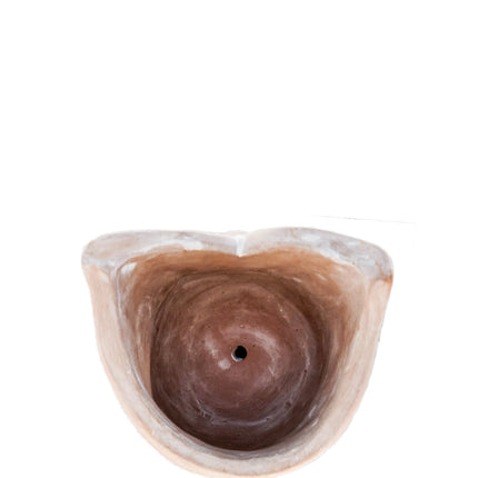 Terracotta Pot - Big Eye Owl-3