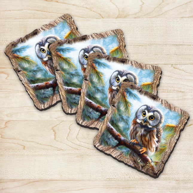 Owl Wooden Cork Coasters Gift Set of 4 by Nature Wonders Nature Wildlife Decor  - 95389C-S4-0