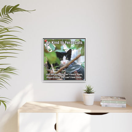 Be Kind to Feral Cats Framed Canvas Print