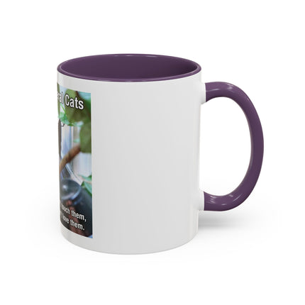 Be Kind to Feral Cats Accent Coffee Mug — Animal Rescue Cat Lover Gift (11/15oz)