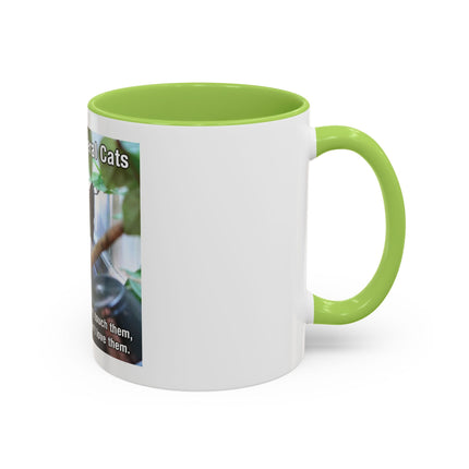 Be Kind to Feral Cats Accent Coffee Mug — Animal Rescue Cat Lover Gift (11/15oz)