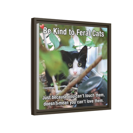 Be Kind to Feral Cats Framed Canvas Print