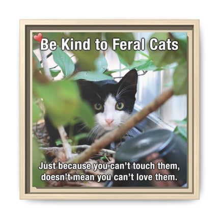 Be Kind to Feral Cats Framed Canvas Print