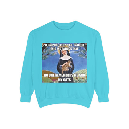 Humorous Unisex Sweatshirt - "No One Remembers Me and My Cats"