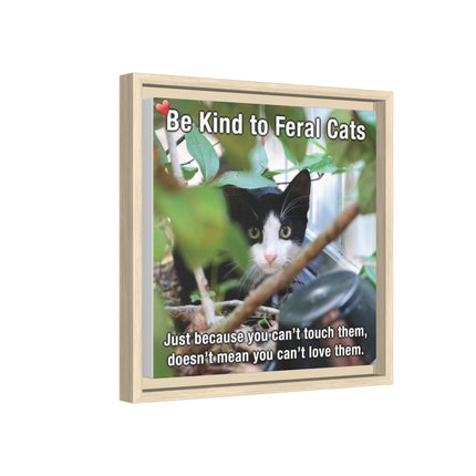 Be Kind to Feral Cats Framed Canvas Print