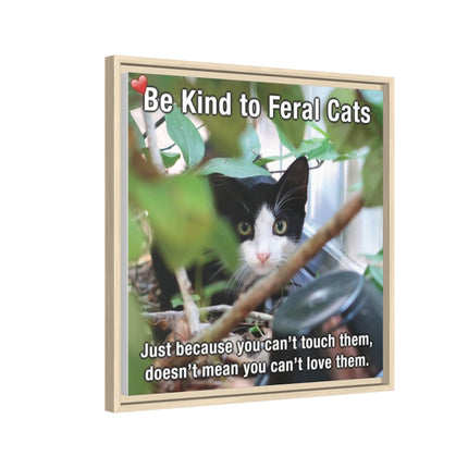 Be Kind to Feral Cats Framed Canvas Print