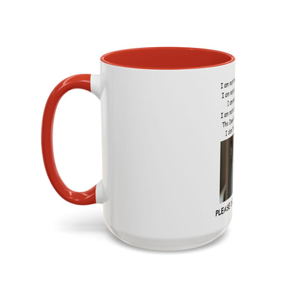 Black Cat 'Please Don't Hurt Me' Accent Coffee Mug – Dispelling Superstitions Gift