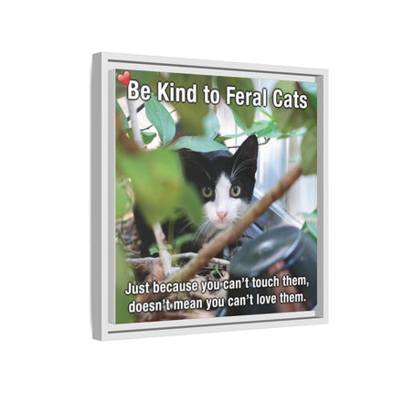 Be Kind to Feral Cats Framed Canvas Print