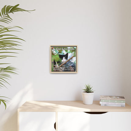 Be Kind to Feral Cats Framed Canvas Print