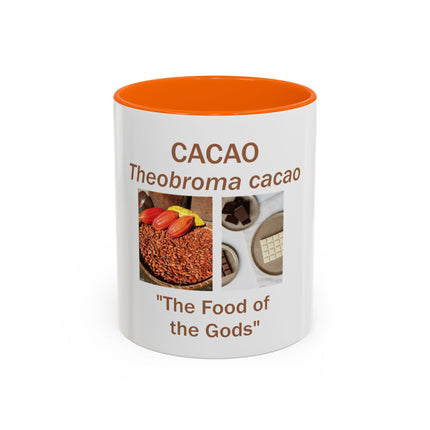Cacao Coffee Mug – "The Food of the Gods" Botanical Cocoa Illustration (11/15 oz)