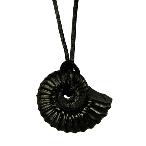 Coal Seashell Pendant from Colombia-0