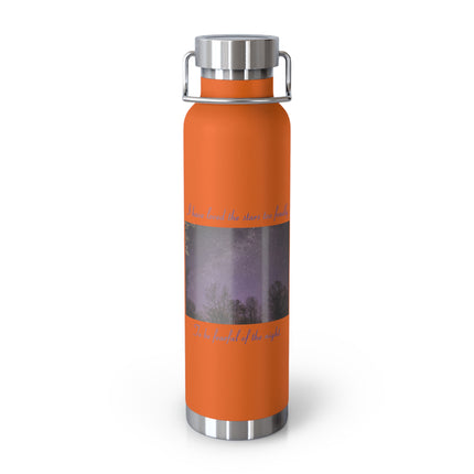 Starry Night Insulated Water Bottle - 22oz, Inspirational Quote
