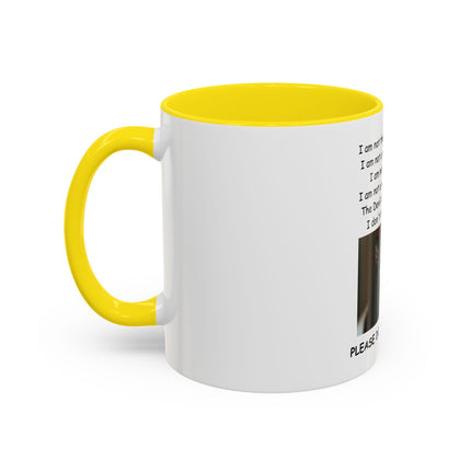 Black Cat 'Please Don't Hurt Me' Accent Coffee Mug – Dispelling Superstitions Gift