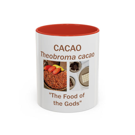Cacao Coffee Mug – "The Food of the Gods" Botanical Cocoa Illustration (11/15 oz)