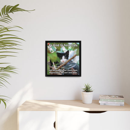 Be Kind to Feral Cats Framed Canvas Print