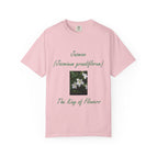 Blossom / S