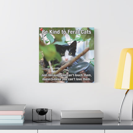 Be Kind to Feral Cats Matte Canvas Wall Art — Inspirational Animal Rescue Decor