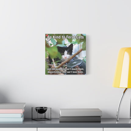Be Kind to Feral Cats Matte Canvas Wall Art — Inspirational Animal Rescue Decor