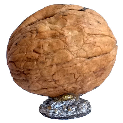 Miniature Walnut Nativity from Ecuador-0