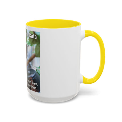 Be Kind to Feral Cats Accent Coffee Mug — Animal Rescue Cat Lover Gift (11/15oz)