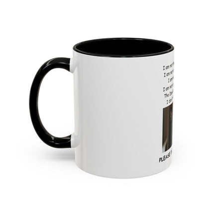 Black Cat 'Please Don't Hurt Me' Accent Coffee Mug – Dispelling Superstitions Gift