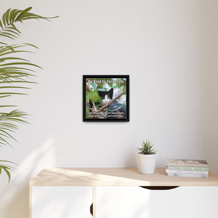 Be Kind to Feral Cats Framed Canvas Print