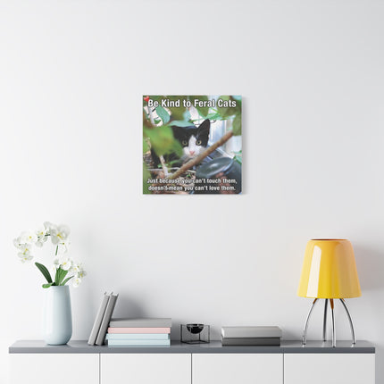 Be Kind to Feral Cats Matte Canvas Wall Art — Inspirational Animal Rescue Decor