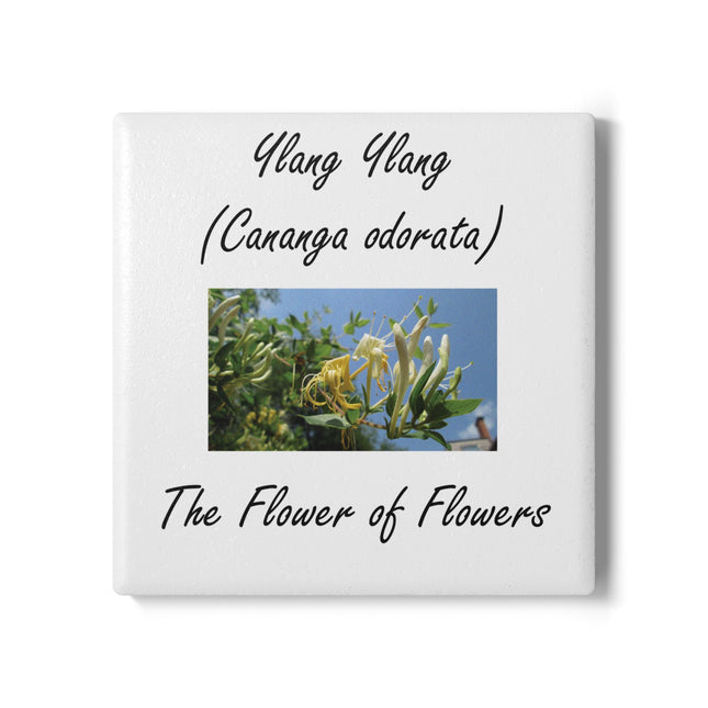 Ylang Ylang Floral Ceramic Coaster - The Flower of Flowers Design