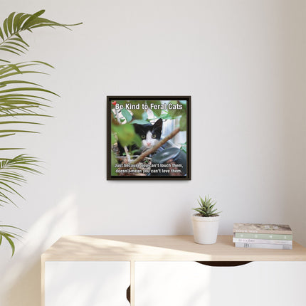 Be Kind to Feral Cats Framed Canvas Print