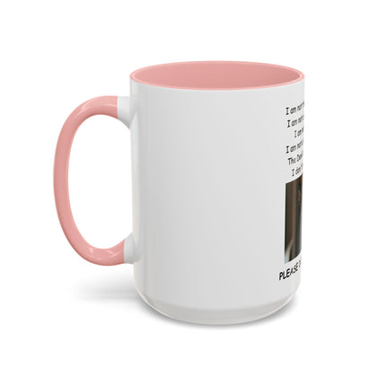 Black Cat 'Please Don't Hurt Me' Accent Coffee Mug – Dispelling Superstitions Gift