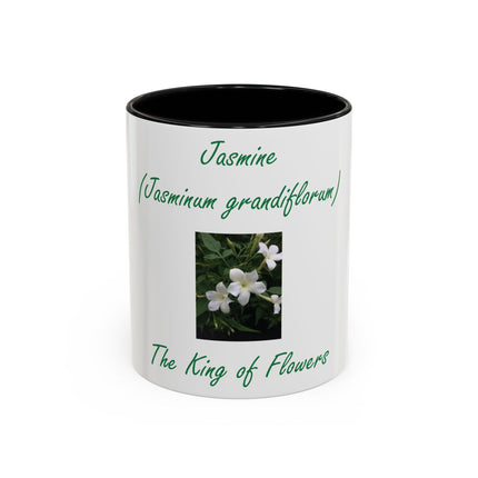Jasmine Flower Accent Mug – King of Flowers, 11oz