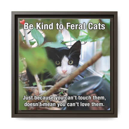 Be Kind to Feral Cats Framed Canvas Print