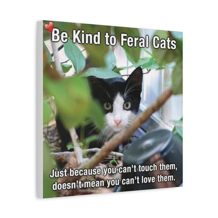 Be Kind to Feral Cats Matte Canvas Wall Art — Inspirational Animal Rescue Decor