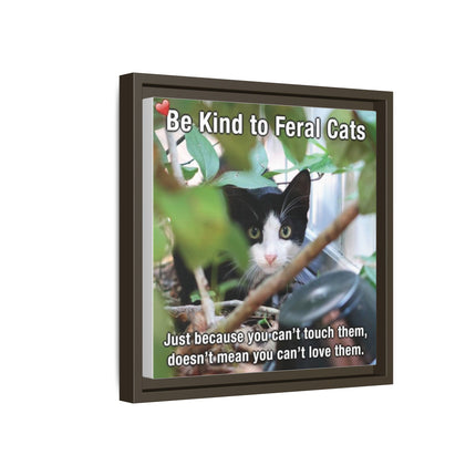 Be Kind to Feral Cats Framed Canvas Print