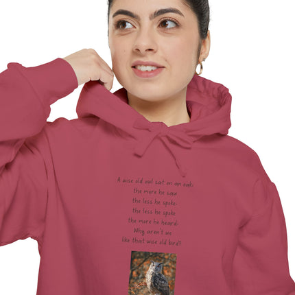 Poetic Owl Hoodie — White Sweatshirt with Verse and Owl Art