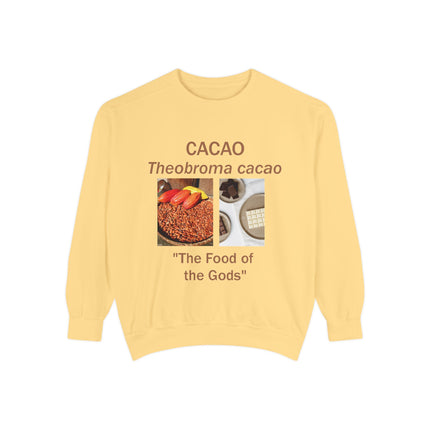 Cacao Sweatshirt - The Food of the Gods - Unisex Garment-Dyed Comfort