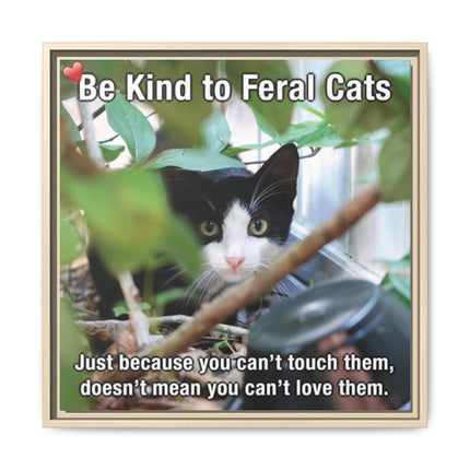 Be Kind to Feral Cats Framed Canvas Print