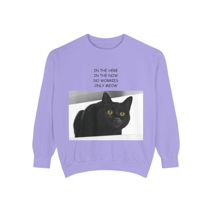 ‘Only Meow’ Cozy Sweatshirt – Cat Lover’s Quote for Calm & Comfort