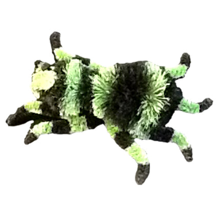 Abaca Spider-2