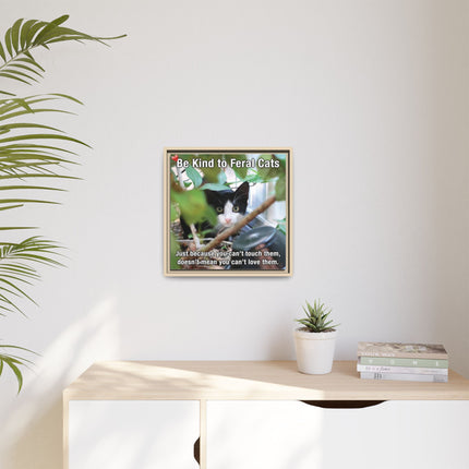 Be Kind to Feral Cats Framed Canvas Print