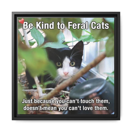 Be Kind to Feral Cats Framed Canvas Print