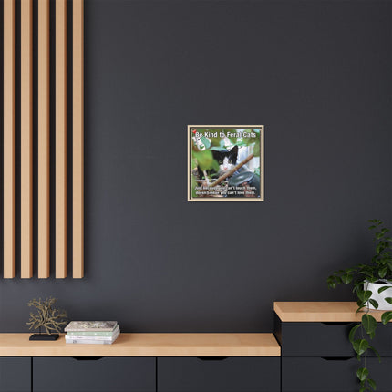 Be Kind to Feral Cats Framed Canvas Print