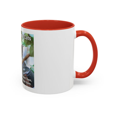 Be Kind to Feral Cats Accent Coffee Mug — Animal Rescue Cat Lover Gift (11/15oz)