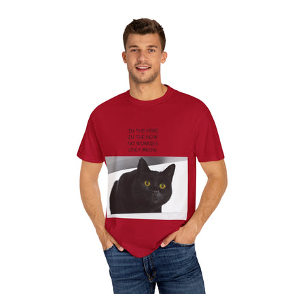 ‘Only Meow’ Cat Tee – Inspirational T-Shirt for Feline Fans