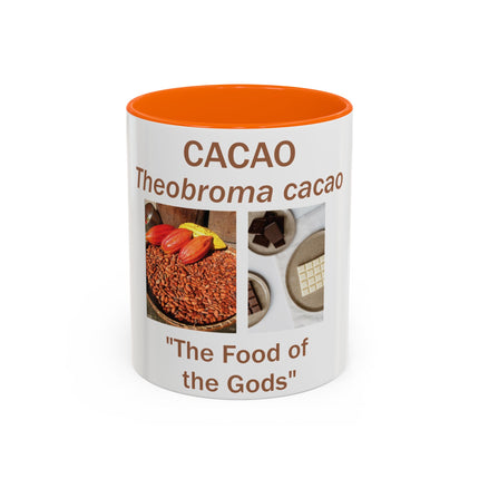 Cacao Accent Mug – "Food of the Gods", 11oz Ceramic