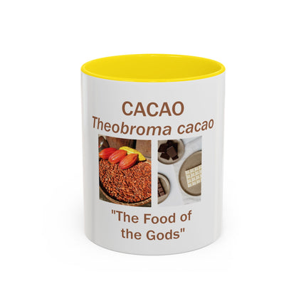 Cacao Coffee Mug – "The Food of the Gods" Botanical Cocoa Illustration (11/15 oz)