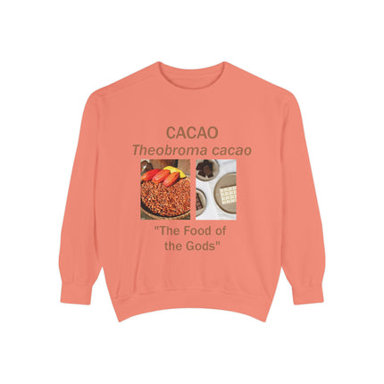 Cacao Sweatshirt - The Food of the Gods - Unisex Garment-Dyed Comfort